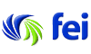 FEI logo